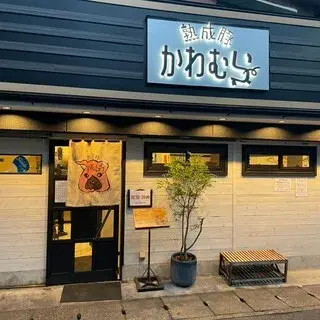 Jukusei Buta Kawamura-logo.webp