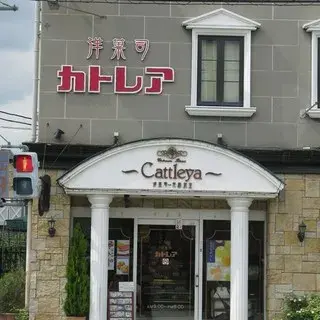 Cattleya Shinjujo Store-logo.webp