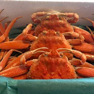 Shimada Suisan-1d.webp