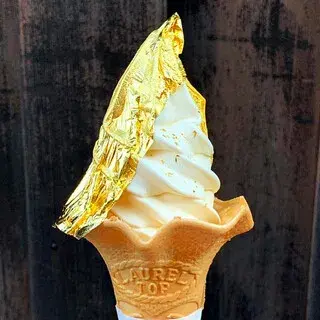 Hakuichi Higashiyama-1b.webp