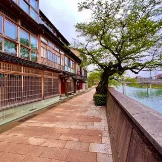 Kazuemachi Sushi Mukaikawa-logo.webp