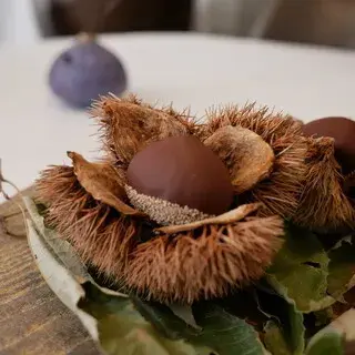 Installation Table Enso L'asymetrie Du Calme-1d.webp