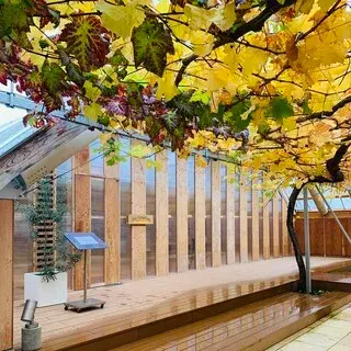 Les Tonnelles-logo.webp