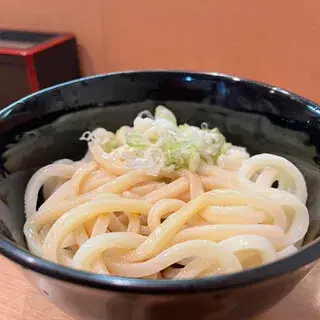 Udon Nishiki-1d.webp