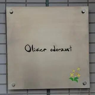 Olivier Odorant-logo.webp
