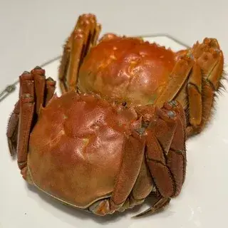 Chūgoku Hanten Reiho-1b.webp