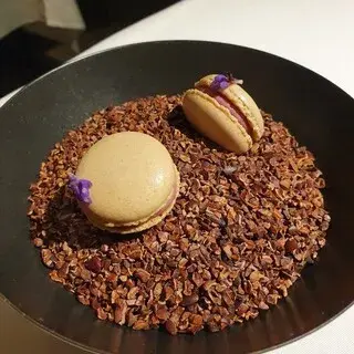 The Vagabond-1c.webp