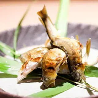 Kokon Honten-1c.webp