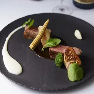 Sky Lounge Sirius-1a.webp