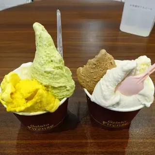 Gelato Firenze-1d.webp
