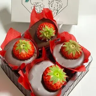 Audrey Yokohama Takashimaya-1b.webp