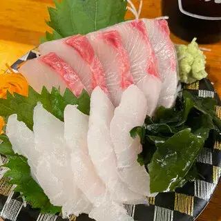 Tachinomi Minato-1a.webp