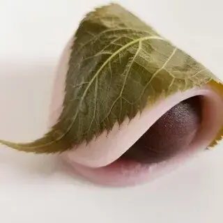 Toraya Sogo Yokohama-1a.webp