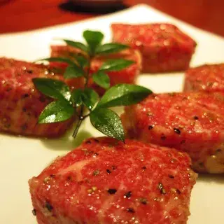 Rikaen Daimyo-1b.webp