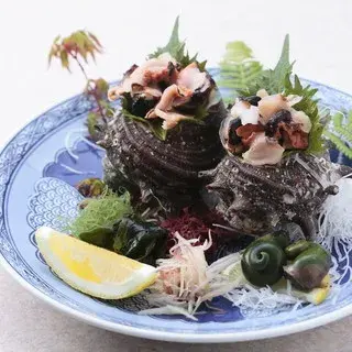 Kawataro Nakasu-1c.webp