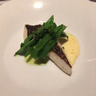 Kiyo Collage-1b.webp