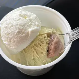 Gelateria Circo D'oro-1a.webp