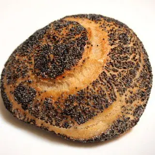 Pane Porcini-1a.webp