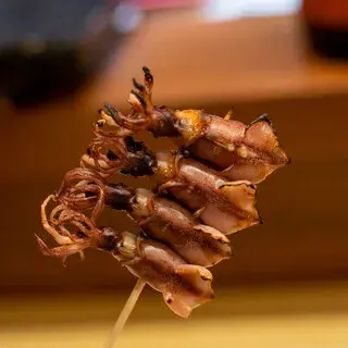 Wayōshusai Hide-1d.webp