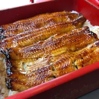 Unagi Funaichi-1c.webp