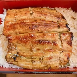 Unagi Irokawa-1a.webp