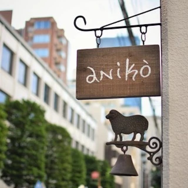 aniko-logo.webp