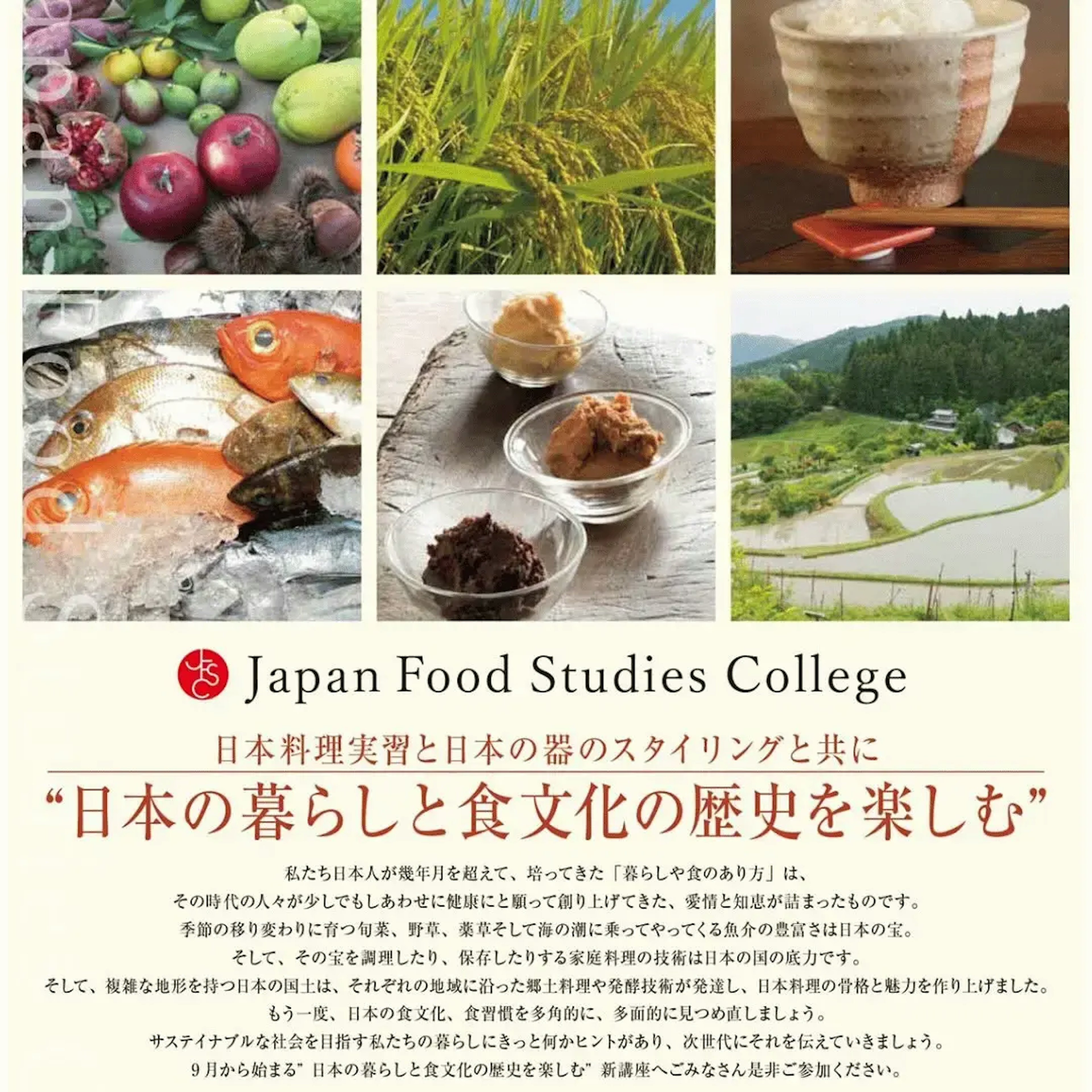 Japan Food Studies College-2a.webp