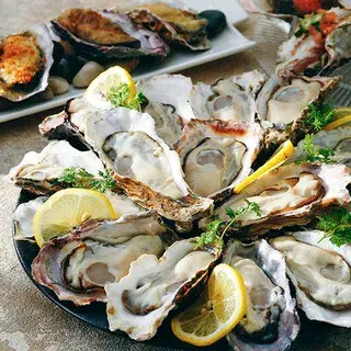Oyster Plates - Lazona Kawasaki Plaza-1a.webp